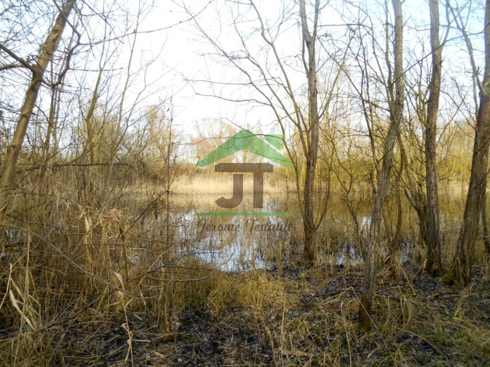 Image_, Maison, Villeneuve-sur-Conie, ref :VP63